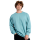 Adult Essential Crew Sweatshirt
