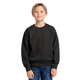 Youth Essential Crew Sweatshirt