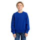 Youth Essential Crew Sweatshirt